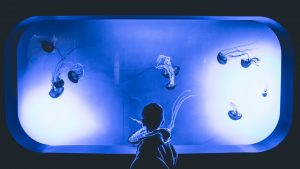 boy standing in front of aquarium plastic tank