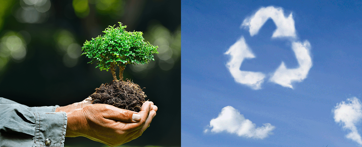 Split image. Left side shows person holding a small tree in their hands. Right side shows clear blue skies, with clouds of arrows pointing in a triangle